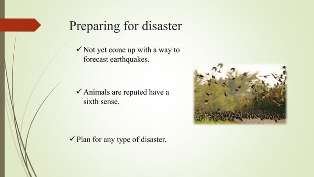 Earthquakes And Tsunamis PPT earthquakes-and-tsunamis-ppt
