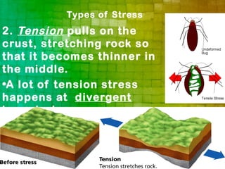 Types of Stress
2. Tension pulls on the
crust, stretching rock so
that it becomes thinner in
the middle.
•A lot of tension stress
happens at divergent
boundaries.
 