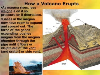 How a Volcano Erupts
•As magma rises, less
weight is on it so
pressure on it decreases.
•Gases in the magma
now have room to expand
and spread out. The
force of the gases
expanding pushes
magma from the magma
chamber through the
pipe until it flows or
erupts out of the vent
(and crater) or side vent.
 