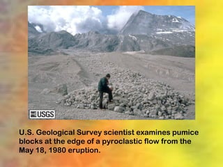 U.S. Geological Survey scientist examines pumice
blocks at the edge of a pyroclastic flow from the
May 18, 1980 eruption.
 