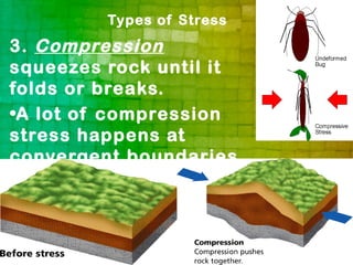 Types of Stress
3. Compression
squeezes rock until it
folds or breaks.
•A lot of compression
stress happens at
convergent boundaries.
 