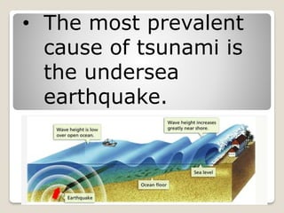 • The most prevalent
cause of tsunami is
the undersea
earthquake.
 