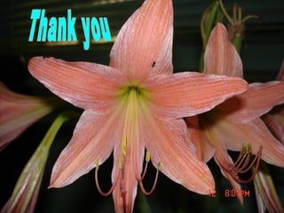 Earthquake ,causes,effects- ES ppt