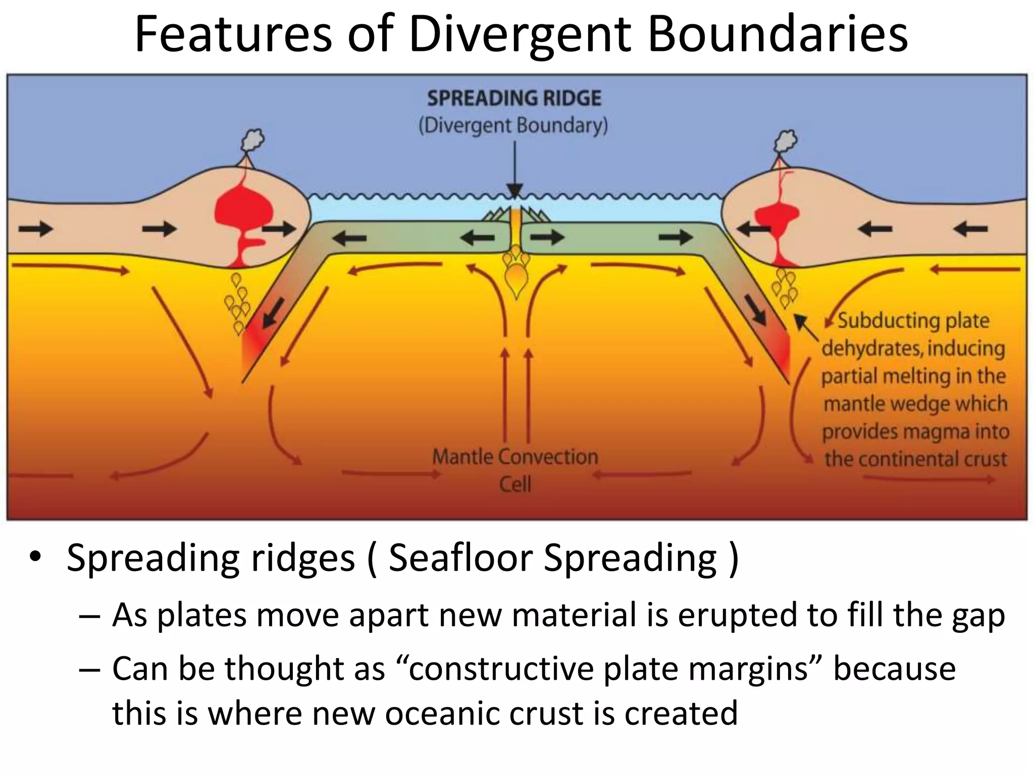 Features of Divergent Boundaries
• Spreading ridges ( Seafloor Spreading )
– As plates move apart new material is erupted to fill the gap
– Can be thought as “constructive plate margins” because
this is where new oceanic crust is created
 