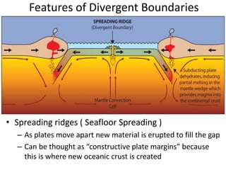 Features of Divergent Boundaries
• Spreading ridges ( Seafloor Spreading )
– As plates move apart new material is erupted to fill the gap
– Can be thought as “constructive plate margins” because
this is where new oceanic crust is created
 