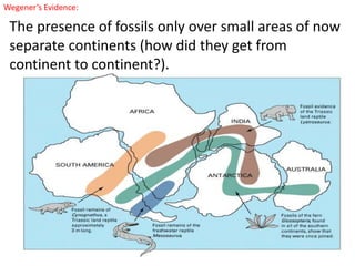 Wegener’s Evidence:
The presence of fossils only over small areas of now
separate continents (how did they get from
continent to continent?).
 