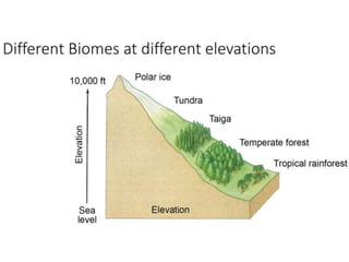 Earth’s Aquatic Biomes with diagrams and images | PDF