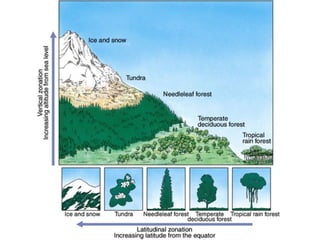 Earth’s Aquatic Biomes with diagrams and images | PDF