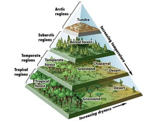 Earth’s Aquatic Biomes with diagrams and images | PDF