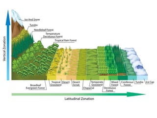 Earth’s Aquatic Biomes with diagrams and images | PDF