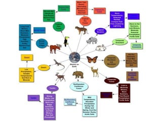 Earth’s Aquatic Biomes with diagrams and images | PDF