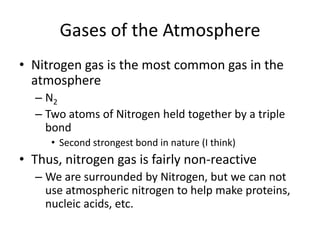 Gases of the Atmosphere
• Nitrogen gas is the most common gas in the
  atmosphere
  – N2
  – Two atoms of Nitrogen held together by a triple
    bond
     • Second strongest bond in nature (I think)
• Thus, nitrogen gas is fairly non-reactive
  – We are surrounded by Nitrogen, but we can not
    use atmospheric nitrogen to help make proteins,
    nucleic acids, etc.
 