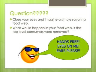 Question????? Close your eyes and imagine a simple savanna food web.  What would happen in your food web, if the top level consumers were removed? HANDS FREE! EYES ON ME! EARS PLEASE! 