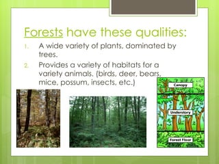 Forests  have these qualities: A wide variety of plants, dominated by trees. Provides a variety of habitats for a variety animals. (birds, deer, bears, mice, possum, insects, etc.) 