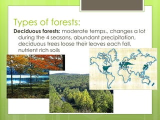 Types of forests: Deciduous forests:  moderate temps., changes a lot during the 4 seasons, abundant precipitation, deciduous trees loose their leaves each fall, nutrient rich soils 