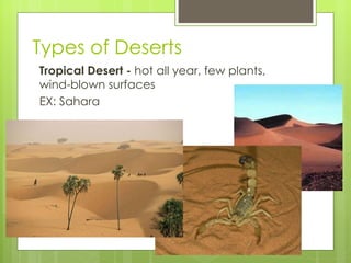Types of Deserts Tropical Desert -  hot all year, few plants, wind-blown surfaces EX: Sahara 