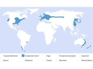 Biomes Notes.pdf Earth’s Biomes Notes with diagrams and images | PDF