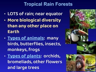 Earth’s Biomes Notes with diagrams and images | PDF