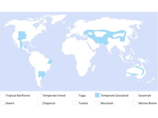Biomes Notes.pdf Earth’s Biomes Notes with diagrams and images | PDF
