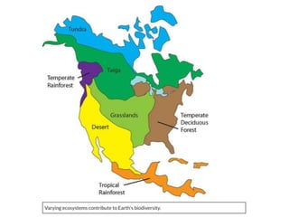 Biomes Notes.pdf Earth’s Biomes Notes with diagrams and images | PDF