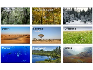 Biomes Notes.pdf Earth’s Biomes Notes with diagrams and images | PDF
