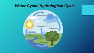 Water Cycle/ Hydrological Cycle
 