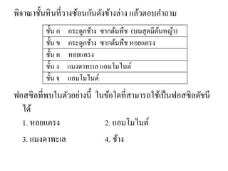 พิจาณาชั้นหินที่วางซ้อนกันดังข้างล่าง แล้วตอบคาถาม 
ฟอสซิลที่พบในตัวอย่างนี้ ในข้อใดที่สามารถใช้เป็นฟอสซิลดัชนี ได้ 1. หอยแครง 2. แอมโมไนต์ 
3. แมงดาทะเล 4. ช้าง 
ชั้น ก กระดูกช้าง ซากต้นพืช (บนสุดมีต้นหญ้า) 
ชั้น ข กระดูกช้าง ซากต้นพืช หอยแครง 
ชั้น ค หอยแครง 
ชั้น ง แมงดาทะเล แอมโมไนต์ 
ชั้น จ แอมโมไนต์  