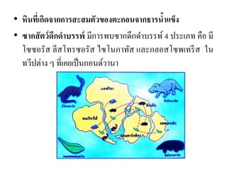 •หินที่เกิดจากการสะสมตัวของตะกอนจากธารน้าแข็ง •ซากสัตว์ดึกดาบรรพ์ มีการพบซากดึกดาบรรพ์ 4 ประเภท คือ มี โซซอรัส ลีสโทรซอรัส ไซโนกาทัส และกลอสโซพเทรีส ใน ทวีปต่าง ๆ ที่เคยเป็นกอนด์วานา  
