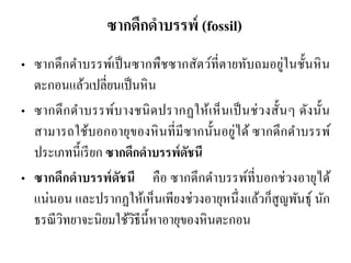 ซากดึกดาบรรพ์ (fossil) 
•ซากดึกดาบรรพ์เป็นซากพืชซากสัตว์ที่ตายทับถมอยู่ในชั้นหิน ตะกอนแล้วเปลี่ยนเป็นหิน 
•ซากดึกดาบรรพ์บางชนิดปรากฏให้เห็นเป็นช่วงสั้นๆ ดังนั้น สามารถใช้บอกอายุของหินที่มีซากนั้นอยู่ได้ ซากดึกดาบรรพ์ ประเภทนี้เรียก ซากดึกดาบรรพ์ดัชนี •ซากดึกดาบรรพ์ดัชนี คือ ซากดึกดาบรรพ์ที่บอกช่วงอายุได้ แน่นอน และปรากฏให้เห็นเพียงช่วงอายุหนึ่งแล้วก็สูญพันธุ์ นัก ธรณีวิทยาจะนิยมใช้วิธีนี้หาอายุของหินตะกอน  