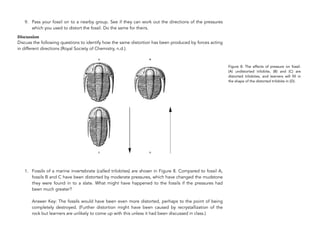 9. Pass your fossil on to a nearby group. See if they can work out the directions of the pressures
which you used to distort the fossil. Do the same for theirs.
Discussion
Discuss the following questions to identify how the same distortion has been produced by forces acting
in different directions (Royal Society of Chemistry, n.d.).
1. Fossils of a marine invertebrate (called trilobites) are shown in Figure 8. Compared to fossil A,
fossils B and C have been distorted by moderate pressures, which have changed the mudstone
they were found in to a slate. What might have happened to the fossils if the pressures had
been much greater? 
 
Answer Key: The fossils would have been even more distorted, perhaps to the point of being
completely destroyed. (Further distortion might have been caused by recrystallization of the
rock but learners are unlikely to come up with this unless it had been discussed in class.)
254
Figure 8: The effects of pressure on fossil.
(A) undistorted trilobite, (B) and (C) are
distorted trilobites, and learners will fill in
the shape of the distorted trilobite in (D).
 