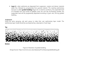 • Layer 6 - when sediments are deposited from suspension, coarser and denser materials
settle first, followed by progressively finer grained material. The resulting sedimentary
structure is called graded bedding (Figure 6). In extreme conditions, the suspended load
of a flooded river may consist of pebbles, sand, silt, and clay. As flooding recedes, the
suspended load will be progressively deposited according to grain size, forming graded
bedding.
Assignment
Using the same grouping, ask each group to make their own sedimentary layer model. The
sedimentary layer model should be accompanied by a description of each layer.
Top
Bottom 
Figure 6: Illustration of graded bedding.
(Image Source: https://commons.wvc.edu/rdawes/g101ocl/basics/gradedbedding.gif)
310
 