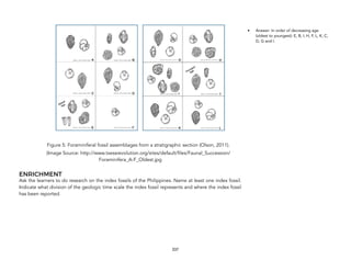 Figure 5: Foraminiferal fossil assemblages from a stratigraphic section (Olson, 2011).
(Image Source: http://www.txessrevolution.org/sites/default/files/Faunal_Succession/
Foraminifera_A-F_Oldest.jpg
ENRICHMENT
Ask the learners to do research on the index fossils of the Philippines. Name at least one index fossil.
Indicate what division of the geologic time scale the index fossil represents and where the index fossil
has been reported.
337
• Answer: In order of decreasing age
(oldest to youngest): E, B, I, H, F, L, K, C,
D, G and I.
 