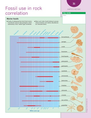*02 Earths history (26-56).qxd          12/12/08       11:07 AM      Page 31




                                                                                                                                 31

      Fossil use in rock                                                                                                   EARTH’S HISTORY


      correlation                                                                                               Key words
                                                                                                                fossil


        Marine fossils
        ●   Fossils of widespread but short-lived marine     ●    Many such index fossils belong to groups
            invertebrate species help geologists match            whose timelines and relative abundances
            sedimentary rocks’ relative ages worldwide.           are indicated below.




                                                                     s
                                                       rm rou
                              c




                                                                   y
                                                                  us
                                                                   n
                              oi




                                                                 ar
                                              n




                                                               ife
                                                                ia




                                                                 n




                                                              eo
                                            ia
                            oz




                                                      ia n


                                                              ic
                                                              ia




                                                             rn
                                                              n
                                                             ic




                                                             ry
                                                    Ju sic
                                                            on

                                                    Tr ia
                                          br




                                                           ac
                                                         ria




                                                           ss
                                                         on
                          er




                                                         ov




                                                          te
                                                          ia
                                                         s
                                                       rb
                                         m




                                                       ra

                                                       et
                        ot




                                                      ua
                                                       rt
                                                      lu

                                                      ev
                                                      rd
                                       Ca




                                                    Ca

                                                    Pe




                                                    Cr
                      Pr




                                                    Te
                                                    Si
                                                   O




                                                    Q
                                                    D                                                        formaniferans


                                                                                                             sponges



                                                                                                             corals



                                                                                                             bryozoans


                                                                                                             brachiopods



                                                                                                             pelacypods


                                                                                                             gastropods



                                                                                                             nautiloids



                                                                                                             ammonoids


                                                                                                             belemnites



                                                                                                             trilobites



                                                                                                             ostracods


                                                                                                             crinoids
                                                                                                                                             © Diagram Visual Information Ltd.




                                                                                                             sea urchins



                                                                                                             graptolites
                                   3




                                               0



                                                        3



                                                                     4


                                                                             0
                                                                                    8
                                                                                    6
                                                                                    4



                                                                                               65



                                                                                                        2
                                                              7
              0




                              54




                                                       44

                                                            41

                                                                   35




                                                                                 14
                                                                                 24
                                                                                 20
                                            49




                                                                          29
            50
         2,




                                                    Million years ago
 
