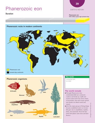 *02 Earths history (26-56).qxd       12/12/08   11:07 AM   Page 39




                                                                                                              39

      Phanerozoic eon                                                                             EARTH’S HISTORY

      Duration
                                                                                                Phanerozoic eon
                                                                                                543 million years ago–present day




        Phanerozoic rocks in modern continents




            Phanerozoic rock

            present-day continents


                                                                                          Key words
        Phanerozoic organisms                                                             continental drift
                                                                                          ice sheet




             Arthropod                                                                   The world remade
                                                                     Bird
                                                                                         ● Through   Phanerozoic time
                           Mammal                                                          continental drift saw continents
                                                                                           coalesce and break up. Uplift and
                                                                                           erosion raised and wore down chains
                                                                                           of mountains. Seas and oceans spread
                                                                                           and shrank. Ice sheets waxed and
                                                                                                                                      © Diagram Visual Information Ltd.




               Amphibian                                                                   waned.
                                                                                         ● All of the major groups of living things
                                                                                           became established early on. In time
                                                                                           fish gave rise to amphibians, reptiles,
                                                                                           birds, and mammals. From the first
                                                                                           lowly land plants came trees and later
             Fish                                                                          flowers.
                                                           Reptile          Land plant
 