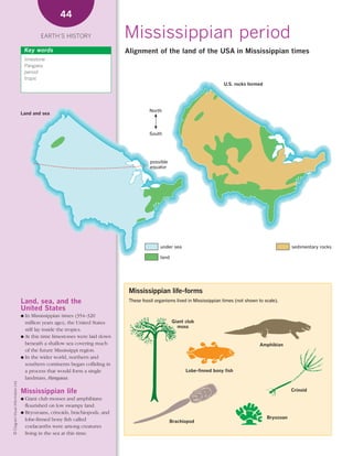 *02 Earths history (26-56).qxd                                        12/12/08     11:07 AM   Page 44




                                                         44

                                                   EARTH’S HISTORY                   Mississippian period
                                            Key words                                Alignment of the land of the USA in Mississippian times
                                            limestone
                                            Pangaea
                                            period
                                            tropic
                                                                                                                                    U.S. rocks formed




                                                                                                North
                                        Land and sea



                                                                                                South




                                                                                                possible
                                                                                                equator




                                                                                                     under sea                                                      sedimentary rocks

                                                                                                     land




                                                                                      Mississippian life-forms
                                        Land, sea, and the                            These fossil organisms lived in Mississippian times (not shown to scale).
                                        United States
                                        ● In Mississippian times (354–320
                                          million years ago), the United States                             Giant club
                                                                                                              moss
                                          still lay inside the tropics.
                                        ● At this time limestones were laid down
                                          beneath a shallow sea covering much                                                                         Amphibian
                                          of the future Mississippi region.
                                        ● In the wider world, northern and
                                          southern continents began colliding in
                                          a process that would form a single                                      Lobe-finned bony fish
                                          landmass, Pangaea.
    © Diagram Visual Information Ltd.




                                        Mississippian life                                                                                                          Crinoid
                                        ● Giant club mosses and amphibians
                                          flourished on low swampy land.
                                        ● Bryozoans, crinoids, brachiopods, and
                                          lobe-finned bony fish called                                                                                   Bryozoan
                                                                                                           Brachiopod
                                          coelacanths were among creatures
                                          living in the sea at this time.
 
