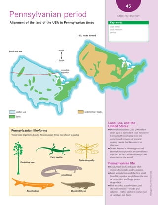 *02 Earths history (26-56).qxd          12/12/08     11:07 AM      Page 45




                                                                                                                                45

      Pennsylvanian period                                                                                             EARTH’S HISTORY

       Alignment of the land of the USA in Pennsylvanian times                                                   Key words
                                                                                                                 coal forest
                                                                                                                 coal measure
                                                                                                                 period
                                                                                U.S. rocks formed




      Land and sea                                         North



                                                           South



                                                              possible
                                                              equator




             under sea                                                                   sedimentary rocks

             land


                                                                                                             Land, sea, and the
                                                                                                             United States
                                                                                                             ● Pennsylvanian time (320–290 million
        Pennsylvanian life-forms
                                                                                                               years ago) is named for coal measures
        These fossil organisms lived in Pennsylvanian times (not shown to scale).                              formed in Pennsylvania from the
                                                                                                               compressed remains of tropical
                                                                                                               swamp forests that flourished at
                                                                                                               this time.
                                                                                                             ● North America’s Mississippian and
                                                                                                               Pennsylvanian periods are considered
                                                                                                               together as the Carboniferous period
                                                   Early reptile                                               elsewhere in the world.
                                                                                    Proto-dragonfly
                    Cordaites tree
                                                                                                             Pennsylvanian life
                                                                                                             ● Coal forests included giant club
                                                                                                               mosses, horsetails, and Cordaites.
                                                                                                                                                          © Diagram Visual Information Ltd.




                                                                                                             ● Land animals featured the first small
                                                              Amphibian
                                                                                                               lizardlike reptiles, amphibians the size
                                                                                                               of crocodiles, and huge proto-
                                                                                                               dragonflies.
                                                                                                             ● Fish included acanthodians, and
                                                                                                               chondrichthyans—sharks and
                          Acanthodian                                    Chondrichthyan                        relatives—with a skeleton composed
                                                                                                               of cartilage, not bone.
 
