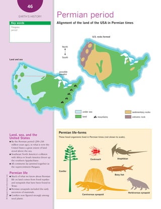 *02 Earths history (26-56).qxd                                         12/12/08     11:07 AM      Page 46




                                                          46

                                                  EARTH’S HISTORY                     Permian period
                                            Key words                                 Alignment of the land of the USA in Permian times
                                            Pangaea
                                            period


                                                                                                                          U.S. rocks formed



                                                                                           North




                                                                                           South
                                        Land and sea




                                                                                        possible
                                                                                        equator




                                                                                                              under sea                                          sedimentary rocks

                                                                                                              land            mountains                          volcanic rock




                                                                                       Permian life-forms
                                        Land, sea, and the
                                                                                       These fossil organisms lived in Permian times (not shown to scale).
                                        United States
                                        ● By the Permian period (290–248
                                          million years ago), in what is now the
                                          United States a great extent of land
                                          stood above the sea.
                                        ● Southeast North America’s collision
                                          with Africa or South America thrust up
                                                                                                                      Cockroach                   Amphibian
                                          the southern Appalachians.
                                        ● All continents lay jammed together as
                                          the supercontinent Pangaea.
                                                                                        Conifer
                                        Permian life                                                                                           Bony fish
    © Diagram Visual Information Ltd.




                                        ● Much of what we know about Permian
                                          life on land comes from fossil reptiles
                                          and synapsids that have been found in
                                          Texas.
                                        ● Permian synapsids included the early
                                          ancestors of mammals.                                                                                               Herbivorous synapsid
                                        ● Conifers now figured strongly among
                                                                                                              Carnivorous synapsid
                                          seed plants.
 