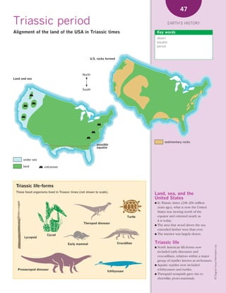 *02 Earths history (26-56).qxd        12/12/08     11:07 AM     Page 47




                                                                                                                     47

      Triassic period                                                                                           EARTH’S HISTORY

      Alignment of the land of the USA in Triassic times                                              Key words
                                                                                                      desert
                                                                                                      equator
                                                                                                      period



                                                              U.S. rocks formed




                                                        North
      Land and sea


                                                        South




                                                                                                           sedimentary rocks
                                                                   possible
                                                                   equator



             under sea

             land           volcanoes




        Triassic life-forms
        These fossil organisms lived in Triassic times (not shown to scale).
                                                                                                  Land, sea, and the
                                                                                                  United States
                                                                                                  ● In Triassic times (248–206 million
                                                                                                    years ago), what is now the United
                                                                                                    States was moving north of the
                                                                                         Turtle     equator and oriented nearly as
                                                                                                    it is today.
                                                         Theropod dinosaur
                                                                                                  ● The area that stood above the sea
                                                                                                    extended farther west than ever.
                              Cycad                                                               ● The interior was largely desert.
              Lycopsid

                                              Early mammal                        Crocidilian     Triassic life
                                                                                                                                             © Diagram Visual Information Ltd.




                                                                                                  ● North American life-forms now
                                                                                                    included early dinosaurs and
                                                                                                    crocodilians, relatives within a major
                                                                                                    group of reptiles known as archosaurs.
                                                                                                  ● Aquatic reptiles now included
         Prosauropod dinosaur                                                                       ichthyosaurs and turtles.
                                                                           Ichthyosaur
                                                                                                  ● Therapsid synapsids gave rise to
                                                                                                    shrewlike proto-mammals.
 