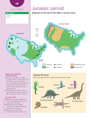 *02 Earths history (26-56).qxd                                        12/12/08    11:07 AM   Page 48




                                                         48

                                                  EARTH’S HISTORY                   Jurassic period
                                            Key words                               Alignment of the land of the USA in Jurassic times
                                            Pangaea
                                            period




                                                                                                                                    U.S. rocks formed



                                                                                         North


                                                          Land and sea
                                                                                         South




                                                                                                 possible
                                                                                                 equator


                                                                                                             under sea         mountains                         sedimentary rocks

                                                                                                             land               volcanoes                        volcanic rock




                                        Land, sea, and the
                                        United States                                 Jurassic life-forms
                                        ● In Jurassic times (206–144 million          These fossil organisms lived in Jurassic times (not shown to scale).
                                          years ago), shallow seas invaded much
                                          of what is now the United States,
                                          but—forced against westward moving
                                          North America—Pacific sediments                                                   Pterosaur
                                          became tacked onto the west, and                    Cycadeoid
                                          mountains rose.                                                                                           Early bird
                                        ● The Atlantic Ocean filled a rift now
                                          opening between North America and
                                          Africa as Pangaea began to break up.

                                        Jurassic life
    © Diagram Visual Information Ltd.




                                        ● Huge sauropod and ornithischian
                                                                                                   Ornithischian dinosaur
                                          dinosaurs flourished in what are now                                                                               Sauropod dinosaur
                                          Colorado and Wyoming.
                                        ● Flying animals now included
                                          pterosaurs, and early birds derived                                                                  Plesiosaur
                                                                                                    Cephalopod
                                          from theropod dinosaurs.
                                        ● Plesiosaurs and ammonite
                                          cephalopods swam in shallow seas.
 