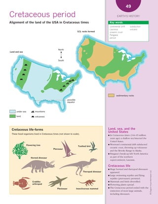 *02 Earths history (26-56).qxd            12/12/08   11:07 AM    Page 49




                                                                                                                                  49

      Cretaceous period                                                                                               EARTH’S HISTORY

      Alignment of the land of the USA in Cretaceous times                                                    Key words
                                                                                                              continental drift    subduction
                                                                                                              Laurasia             volcano
                                                                                 U.S. rocks formed            oceanic crust
                                                                                                              Pangaea
                                                                                                              period




                                                         North
       Land and sea



                                                         South




                                                                                                                     sedimentary rocks

                                                                     possible
                                                                     equator



             under sea           mountains

             land                volcanoes




        Cretaceous life-forms                                                                             Land, sea, and the
                                                                                                          United States
        These fossil organisms lived in Cretaceous times (not shown to scale).
                                                                                                          ● In Cretaceous times (144–65 million
                                                                                                            years ago) a shallow sea bisected the
                                                                                                            United States.
                         Flowering tree                                                                   ● Westward continental drift subducted
                                                                                 Toothed bird
                                                                                                            oceanic crust, throwing up volcanoes
                                                     Pterosaur
                                                                                                            and the Brooks Range in Alaska.
                                                                                                          ● Pangaea’s break-up left North America

                             Horned dinosaur                                                                as part of the northern
                                                                                                            supercontinent, Laurasia.

                                                                                                          Cretaceous life
                                                                                                          ● Huge horned and theropod dinosaurs
                                                                                                                                                    © Diagram Visual Information Ltd.




                                                                                      Theropod dinosaur     appeared.
                                                                                                          ● Large swimming reptiles and flying
                                                                                                            reptiles (pterosaurs) persisted.
                               Crablike                                                                   ● Mammals and birds diversified.
                               arthropod                                                                  ● Flowering plants spread.
                                                                                                          ● The Cretaceous period ended with the
                                                        Plesiosaur              Insectivorous mammal
                                                                                                            extinction of most large animals,
                                                                                                            including dinosaurs.
 