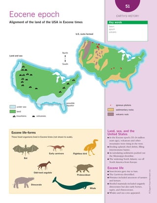 *02 Earths history (26-56).qxd        12/12/08      11:07 AM      Page 51




                                                                                                                           51

      Eocene epoch                                                                                                   EARTH’S HISTORY

      Alignment of the land of the USA in Eocene times                                                     Key words
                                                                                                           basin
                                                                                                           epoch
                                                                                                           volcano
                                                                               U.S. rocks formed




                                                               North
       Land and sea



                                                               South




                                                                   possible
                                                                   equator                                       igneous plutons
             under sea
                                                                                                                 sedimentary rocks
             land
                                                                                                                 volcanic rock
             mountains            volcanoes




                                                                                                       Land, sea, and the
        Eocene life-forms                                                                              United States
        These fossil organisms lived in Eocene times (not shown to scale).                             ● In the Eocene epoch (55–34 million
                                                                                                         years ago), volcanoes and other
                                                                                                         mountains were rising in the west.
                                                                                                       ● Eroding uplands shed debris, filling
                                                                                                         intermontane basins.
                                                Early carnivore              Flightless bird           ● Accumulating sediments pushed out
                                                                                                         the Mississippi shoreline.
                      Bat                                                                              ● The widening North Atlantic cut off
                                                                                                         North America from Europe.

                                                                                                       Eocene life
                                                                                                                                                   © Diagram Visual Information Ltd.




                                                                                                       ● Insectivores gave rise to bats.
                                Odd-toed ungulate
                                                                                 Proboscidean          ● The Carnivora diversified.
                                                                                                       ● Primates included ancestors of tarsiers
                                                                                                         and lemurs.
                                                                                                       ● Hoofed mammals included ungainly
                             Dinocerate
                                                                                                         dinocerates but also early horses,
                                                                                               Whale
                                                                                                         tapirs, and rhinoceroses.
                                                                                                       ● Whales and sea cows appeared.
 