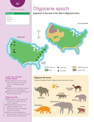 *02 Earths history (26-56).qxd                                        12/12/08    11:07 AM    Page 52




                                                         52

                                                  EARTH’S HISTORY                   Oligocene epoch
                                            Key words                               Alignment of the land of the USA in Oligocene times
                                            epoch
                                            sediment
                                            temperate
                                            tropical

                                                                                                                                                                U.S. rocks formed




                                                                                         North



                                                          Land and sea
                                                                                         South




                                                                                                  possible
                                                                                                  equator


                                                                                                              under sea             mountains                   sedimentary rocks

                                                                                                              land                  volcanoes                   volcanic rock




                                        Land, sea, and the                           Oligocene life-forms
                                        United States
                                        ● In the Oligocene epoch (34–23.8            These fossil organisms lived in Oligocene times (not shown to scale).
                                          million years ago) the present-day
                                          western United States became
                                          uplifted.                                                                        Swift
                                        ● Eroding western mountains dumped                                                                      Even-hoofed
                                          sediments east to South Dakota.                                                                         ungulate
                                        ● Mississippi sediments helped push the
                                          Gulf Coast further south.                                                            Creodont


                                        Oligocene life                                       Brontothere
                                        ● Where climates cooled, grasses and
                                                                                                                                                        Pyrothere
                                          temperate trees began replacing                                        Giant rhinoceros
    © Diagram Visual Information Ltd.




                                          tropical vegetation.
                                        ● Grazing and browsing even-toed              Embrithopod
                                          ungulates multiplied, and                                                                                                  Primate
                                          brontotheres (odd-toed ungulates)
                                          roamed North America.
                                        ● Pyrotheres were among hoofed
                                          mammals unique to what was then the
                                          island continent of South America.
 