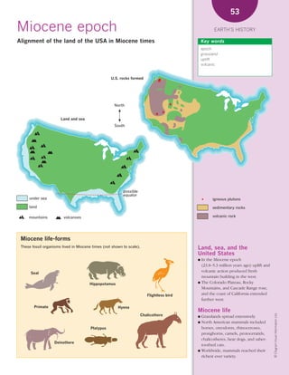 *02 Earths history (26-56).qxd       12/12/08     11:07 AM     Page 53




                                                                                                                      53

      Miocene epoch                                                                                           EARTH’S HISTORY

      Alignment of the land of the USA in Miocene times                                                Key words
                                                                                                       epoch
                                                                                                       grassland
                                                                                                       uplift
                                                                                                       volcanic


                                                          U.S. rocks formed




                                                            North


                              Land and sea
                                                            South




                                                                 possible
                                                                 equator
            under sea                                                                                        igneous plutons

            land                                                                                             sedimentary rocks

            mountains           volcanoes                                                                    volcanic rock




        Miocene life-forms
        These fossil organisms lived in Miocene times (not shown to scale).                        Land, sea, and the
                                                                                                   United States
                                                                                                   ● In the Miocene epoch
                                                                                                     (23.8–5.3 million years ago) uplift and
             Seal
                                                                                                     volcanic action produced fresh
                                                                                                     mountain building in the west.
                                                                                                   ● The Colorado Plateau, Rocky
                                              Hippopotamus
                                                                                                     Mountains, and Cascade Range rose,
                                                                                 Flightless bird     and the coast of California extended
                                                                                                     further west.
               Primate                                        Hyena
                                                                                                   Miocene life
                                                                                                                                               © Diagram Visual Information Ltd.




                                                                              Chalicothere         ● Grasslands spread extensively.
                                                                                                   ● North American mammals included
                                               Platypus                                              horses, oreodonts, rhinoceroses,
                                                                                                     pronghorns, camels, protoceratids,
                                                                                                     chalicotheres, bear dogs, and saber-
                          Deinothere
                                                                                                     toothed cats.
                                                                                                   ● Worldwide, mammals reached their
                                                                                                     richest ever variety.
 