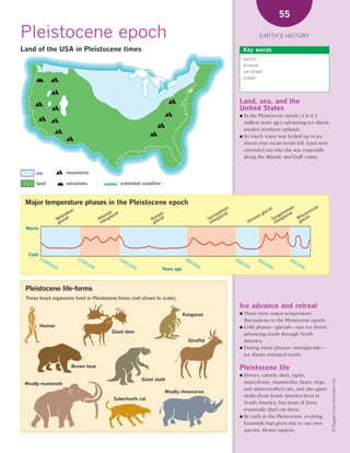 *02 Earths history (26-56).qxd                12/12/08        11:07 AM          Page 55




                                                                                                                                                                     55

      Pleistocene epoch                                                                                                                             EARTH’S HISTORY

      Land of the USA in Pleistocene times                                                                                               Key words
                                                                                                                                         epoch
                                                                                                                                         erosion
                                                                                                                                         ice sheet
                                                                                                                                         ocean




                                                                                                                                     Land, sea, and the
                                                                                                                                     United States
                                                                                                                                     ● In the Pleistocene epoch (1.8–0.1
                                                                                                                                       million years ago) advancing ice sheets
                                                                                                                                       eroded northern uplands.
                                                                                                                                     ● So much water was locked up in ice
                                                                                                                                       sheets that ocean levels fell. Land now
                                                                                                                                       extended out into the sea, especially
                                                                                                                                       along the Atlantic and Gulf coasts.


             ice                mountains

             land               volcanoes                          extended coastline



        Major temperature phases in the Pleistocene epoch
                                                                                                                              an                            ial           nia
                                                                                                                                                                              n            ian
                                  ka
                                    n                                                                                     thi                            lac           mo l            sin
                               ras                       ian ial                        an                             ou cial                       g               ga lacia       on
                                                                                                                                                                                  sc al
                            eb ial                    ton ac                         ns l                           rm a                         ian                n           Wi aci
                           N ac                     Af tergl                       Ka acia                        Ya tergl                     no                Sa terg
                            gl                       in                             gl                             in                      Illi                   in             gl
        Warm




         Cold
                2,0                     1,7                        1,4                               90                            55               40                     20
                   00                      00                         00                               0,0                           0,0              0,0                       0,0
                     ,00                     ,00                        ,00                                0                            00                0                         0
                        0                       0                          0                                0                                                0                       0
                                                                                        Years ago



        Pleistocene life-forms
        These fossil organisms lived in Pleistocene times (not shown to scale).
                                                                                                                                     Ice advance and retreat
                                                                                                    Kangaroo                         ● There were major temperature
                                                                                                                                       fluctuations in the Pleistocene epoch:
                Human                                                                                                                ● Cold phases—glacials—saw ice sheets
                                                           Giant deer                                                                  advancing south through North
                                                                                                       Giraffid                        America.
                                                                                                                                     ● During warm phases—interglacials—
                                                                                                                                       ice sheets retreated north.

                                   Brown bear                                                                                        Pleistocene life
                                                                                                                                     ● Horses, camels, deer, tapirs,
                                                                               Giant sloth
                                                                                                                                                                                                 © Diagram Visual Information Ltd.




        Woolly mammoth                                                                                                                 mastodonts, mammoths, bears, dogs,
                                                                                                                                       and saber-toothed cats, and also giant
                                                                                             Woolly rhinoceros
                                                                                                                                       sloths from South America lived in
                                                            Sabertooth cat
                                                                                                                                       North America, but most of these
                                                                                                                                       eventually died out there.
                                                                                                                                     ● By early in the Pleistocene, evolving
                                                                                                                                       hominids had given rise to our own
                                                                                                                                       species, Homo sapiens.
 