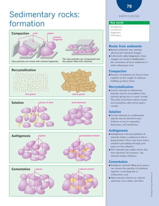 *03 Earths rocks (57-106).qxd        12/12/08     11:09 AM        Page 79




                                                                                                                           79

      Sedimentary rocks:                                                                                           EARTH’S ROCKS


      formation                                                                                           Key words
                                                                                                          authigenesis
                                                                                                          compaction
                                                                                                          diagenesis
        Compaction            clay            space
                                                                                                          lithification
                                                       mineral
                                                       fragment


                                                                                                      Rocks from sediments
                                                                                                      ● Buried sediments may undergo
                                                                                                        physical and chemical changes.
                                                                                                      ● Collectively called diagenesis, these
                                                              The clay particles are compressed and     changes can result in lithification—
        Clay particles are mixed with mineral fragments.      the spaces filled with minerals.          the conversion of loose sediments to
                                                                                                        solid sedimentary rock.

        Recrystallization                                                                             Compaction
                                                                                                      ●   Particles of sediment are forced closer
                                                                                                          together by the weight of sediment
                                                                                                          building up above them.

                                                                                                      Recrystallization
                                                                                                      ●   Certain minerals in sedimentary
                      fine grains                                       coarse grains                     deposits may be recrystallized, fine
                                                                                                          particles giving rise to coarse crystals.
                                                                                                          Thus lime mud forms calcite crystals,
        Solution                     pieces of shell                   shell dissolved                    and amorphous silica forms quartz
                                                                                                          crystals.

                                                                                                      Solution
                                                                                                      ●   Certain minerals in a sedimentary
                                                                                                          deposit may be dissolved away.
                                                                                                          Solution occurs in evaporites,
                                                                                                          limestones, and sandstones.

                                                                                                      Authigenesis
                                                                                                      ● Authigenesis is the precipitation of
        Authigenesis                 spaces                                    precipitated mineral
                                                                                                        minerals within a sediment as this is
                                                                                                        being formed. They come from watery
                                                                                                        solutions percolating through pore
                                                                                                        spaces in the sediment.
                                                                                                      ● New minerals may replace those that
                                                                                                        have dissolved. For instance, clay
                                                                                                        minerals replace feldspars.

                                                                                                      Cementation
                                                                                                      ● Authigenic minerals filling pore spaces
        Cementation             spaces                                         natural cement           can cement the particles of sediment
                                                                                                        together, converting this to
                                                                                                                                                      © Diagram Visual Information Ltd.




                                                                                                        sedimentary rock.
                                                                                                      ● Major natural cements are calcium
                                                                                                        carbonate, iron oxides, and silica.
 