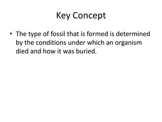 Key Concept
• The type of fossil that is formed is determined
by the conditions under which an organism
died and how it was buried.