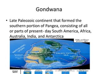 Gondwana
• Late Paleozoic continent that formed the
southern portion of Pangea, consisting of all
or parts of present- day South America, Africa,
Australia, India, and Antarctica