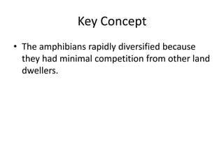 Key Concept
• The amphibians rapidly diversified because
they had minimal competition from other land
dwellers.