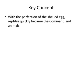 Key Concept
• With the perfection of the shelled egg,
  reptiles quickly became the dominant land
  animals.
 