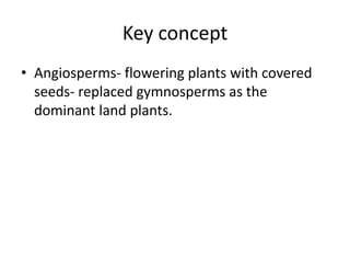 Key concept
• Angiosperms- flowering plants with covered
  seeds- replaced gymnosperms as the
  dominant land plants.
 